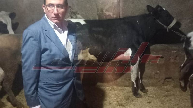 تحصين المواشي