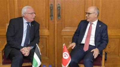 تونس تدين اقتحامات قوات الاحتلال بمدينة جنين وما خلفته من شهداء وجرحى