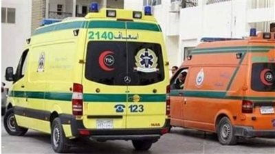 لخلافات على مروى أرض زراعية.. مصرع مزارع على يد ابن عمه بكفر الشيخ