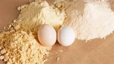 عاجل.. الحكومة تكشف حقيقة طرح منتجات بديلة لبيض المائدة الطبيعي بالأسواق  