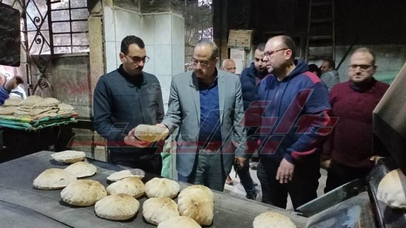 الحملات الرقابية