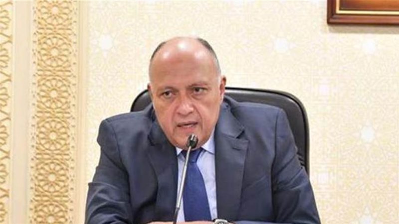 سامح شكري وزير الخارجية