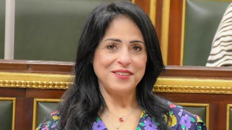 النائبة ميرال جلال