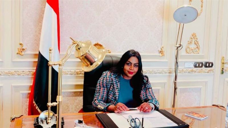 النائبة نفين حمدي