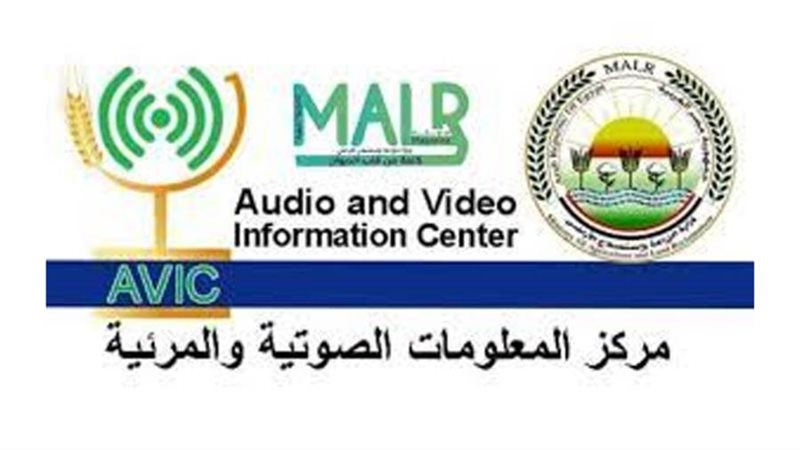 مركز المعلومات الصوتية