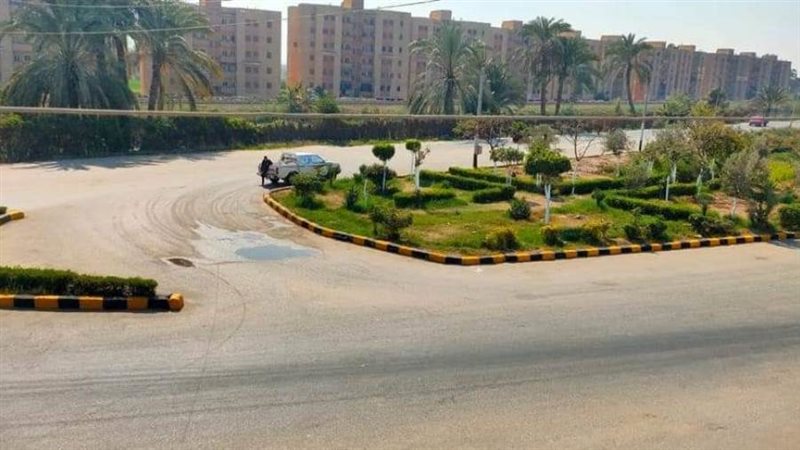 زراعة أشجار مثمرة