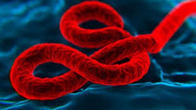 الدفاع الروسية: خبراء أمريكيون قد يكونون وراء تفشي 