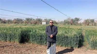 وكيل وزارة الزراعة بالوادي الجديد في جولة تفقدية لمزارع القمح