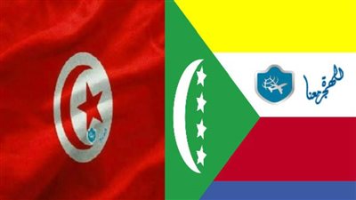 تونس وجزر القمر تتفقان على التعاون لإنهاء الجدل غير البناء حول مسألة المهاجرين الأفارقة