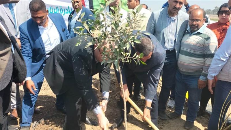 100 مليون شجرة ببنى