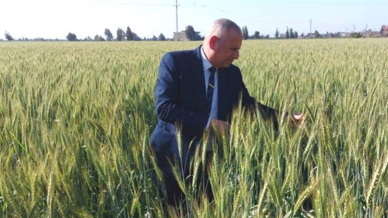 وكيل وزارة الزراعة