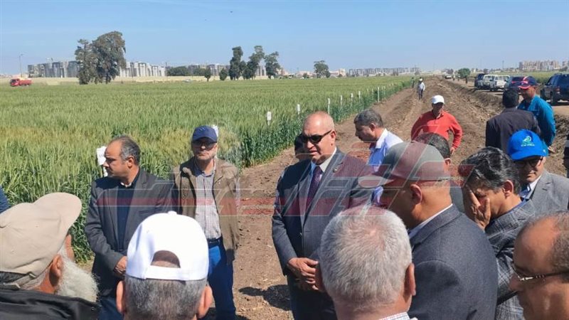 زيارة الوفد