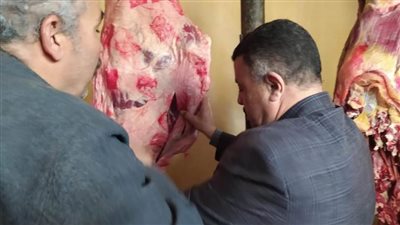 بيطري المنيا يحرر 24 محضرًا خلال حملات على الأسواق والمطاعم