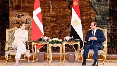 15 رسالة من الرئيس السيسي خلال لقائه برئيسة وزراء الدنمارك
