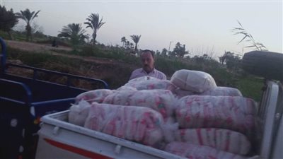 ضبط طنين من السكر والدقيق بدون فواتير وتحرير 32 محضرًا للمخابز البلدية المخالفة خلال حملة تموينية بالمنيا