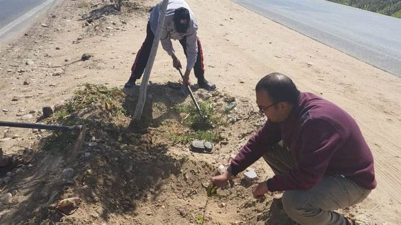 زراعة أشجار مثمرة