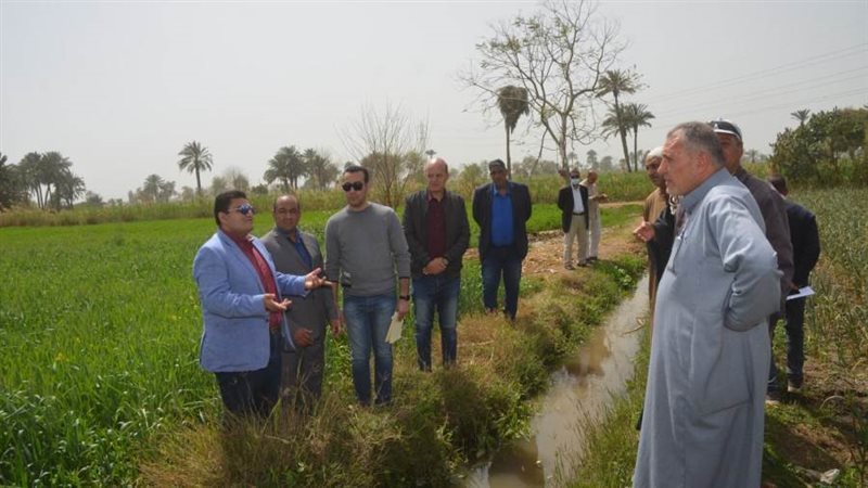 استعدادات توريد القمح