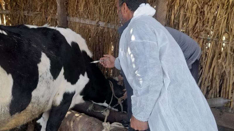 الحملة القومية لتحصين