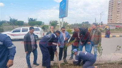 توزيع 13 ألف شجرة مثمرة على الوحدات المحلية بكفر الشيخ 