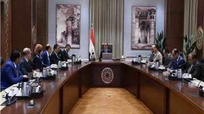 رئيس الوزراء يتابع مستجدات العمل بمشروع المتحف المصري الكبير وتطوير المنطقة المحيطة