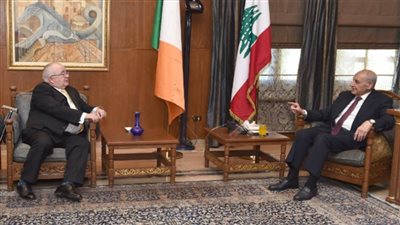 بري يبحث مع نظيره الإيرلندي الأوضاع في لبنان وسبل التعاون التشريعي بين البلدين