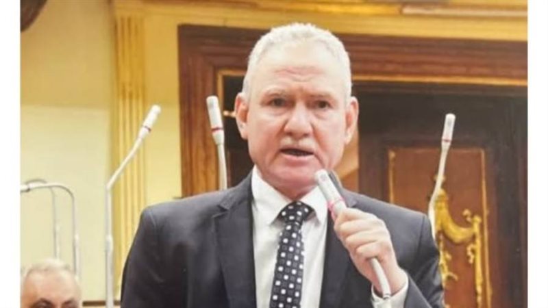 النائب جمال فؤاد