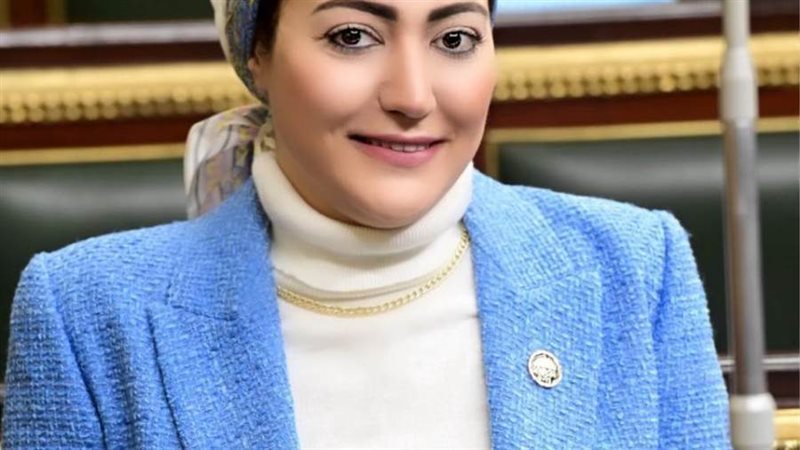 النائبة أسماء الجمال