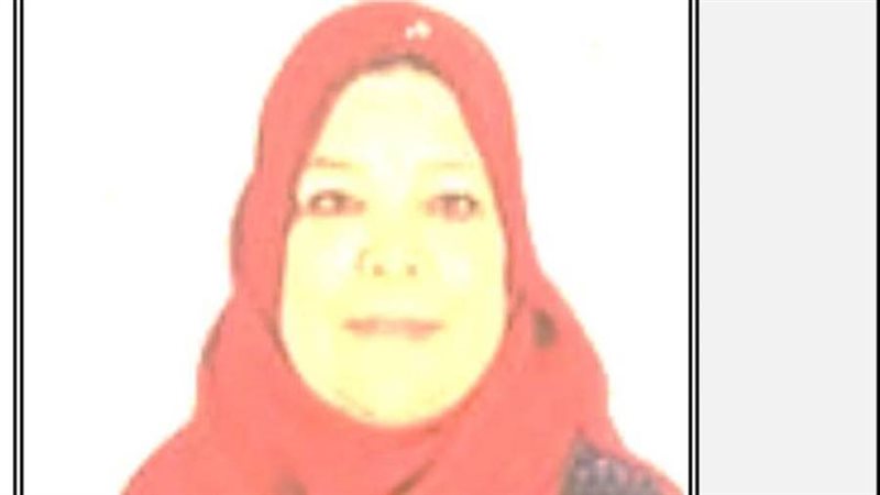 صفاء الام المثالية