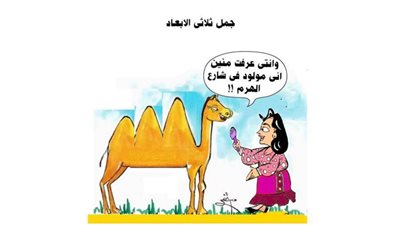 يوميات صميدة وحمدان