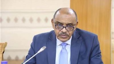 وزير خارجية السودان يناقش مع نظيره الصومالي تعزيز التعاون المشترك بين البلدين
