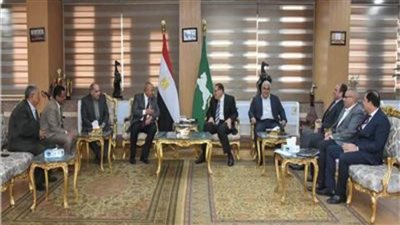 بتكلفة 266 مليون جنيه.. تنفيذ 7 مشروعات في قطاع الكهرباء بالشرقية