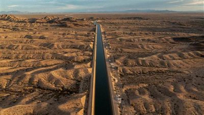 عاجل| صرخة البرية في مواجهة جرائم البشرية.. تقرير أممي يرصد المأساة