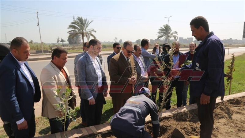 زراعة الأشجار