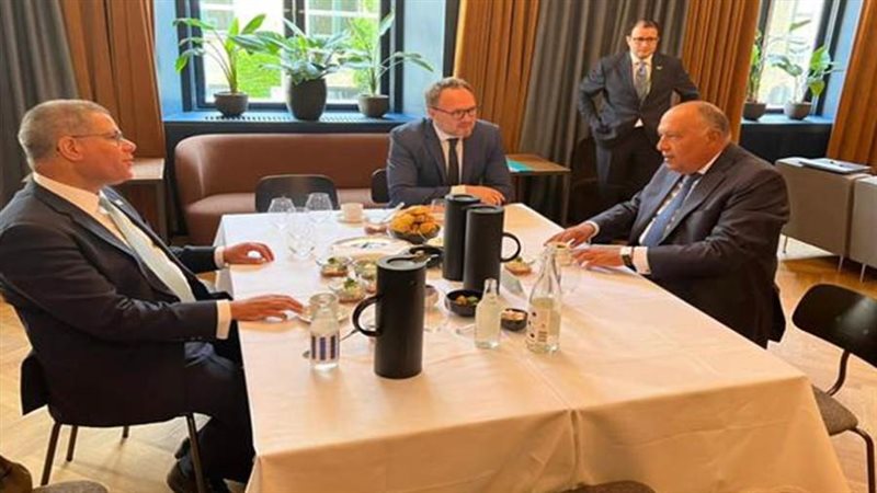 سامح شكري أثناء اللقاء