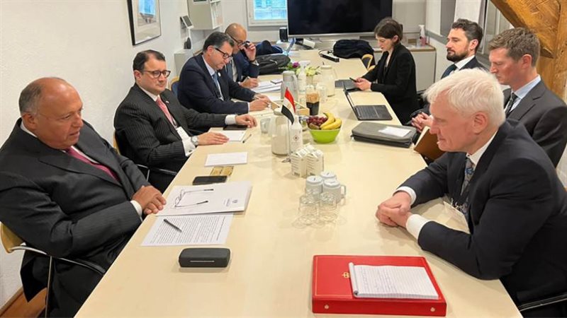 شكري يلتقي وزير الدولة