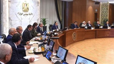 مجلس المحافظين يستعرض الموقف التنفيذي للمشروع القومي لتنمية الأسرة 