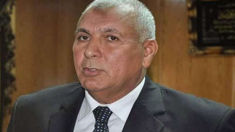 محمد الزملوط محافظ