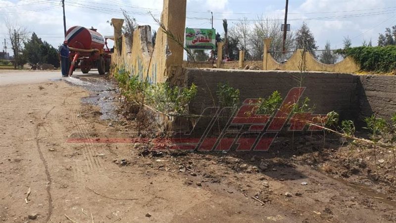 زراعة الأشجار