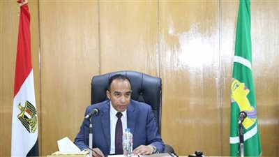 نائب محافظ المنيا يتابع محاور الخطة السكانية خلال اجتماع المجلس الإقليمي للسكان