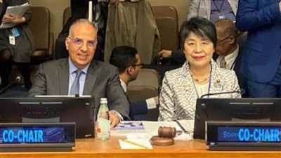 وزير الري: الوعي العالمي بقضايا المياه وتحدياتها أدى للاعتراف المتزايد بالصلة القوية بين المياه والمناخ 