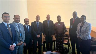 وزير الري يلتقي وزراء مياه ٥ دول والمبعوثة الأمريكية