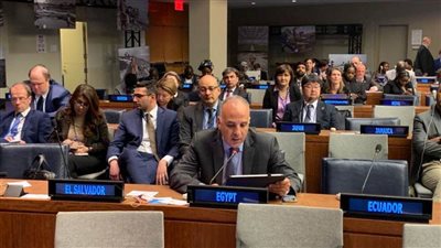 وزير الري يشارك في جلسة 