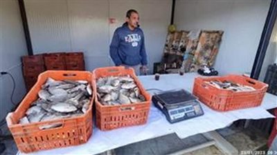 محافظ الوادي الجديد يوجه بالتوسع في توفير أسماك بحيرة باريس بالمنافذ المتنقلة بالأحياء السكنية