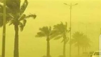 عواصف ترابية وانخفاض في درجات الحرارة بالوادي الجديد 