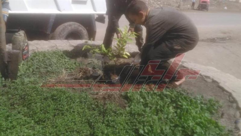 زراعة الأشجار