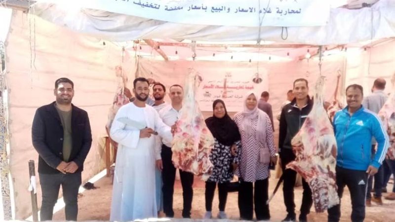 أمانة حزب المصريين