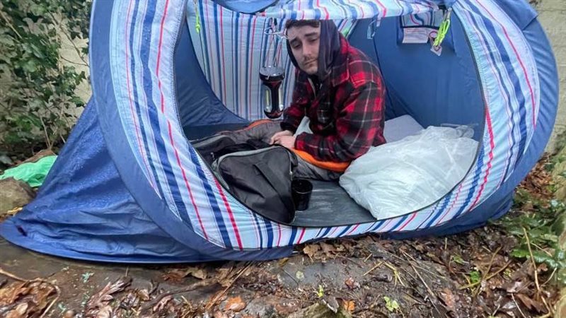 كونولي في الغابة