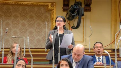 النائبة روان لاشين: قانون الأحوال الشخصية يسهم في تحقيق التوازن للأسرة المصرية