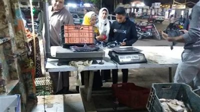 الدواجن الواحدة بـ 90جنيها والبلطي22.5 بالمنافذ الثابتة والمتنقلة بالوادي الجديد 