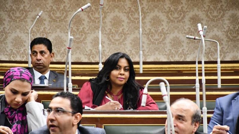 النائبة نفين حمدي